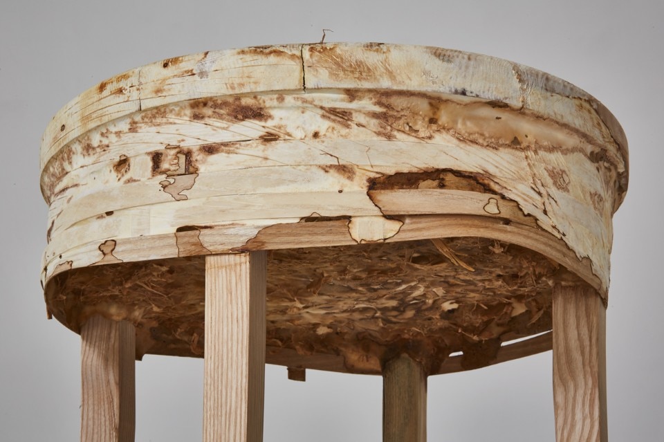 Img.9 Sebastian Cox and Ninela Ivanova, Mycelium+Timber, 2017 Img.9 Sebastian Cox and Ninela Ivanova, Mycelium+Timber, 2017