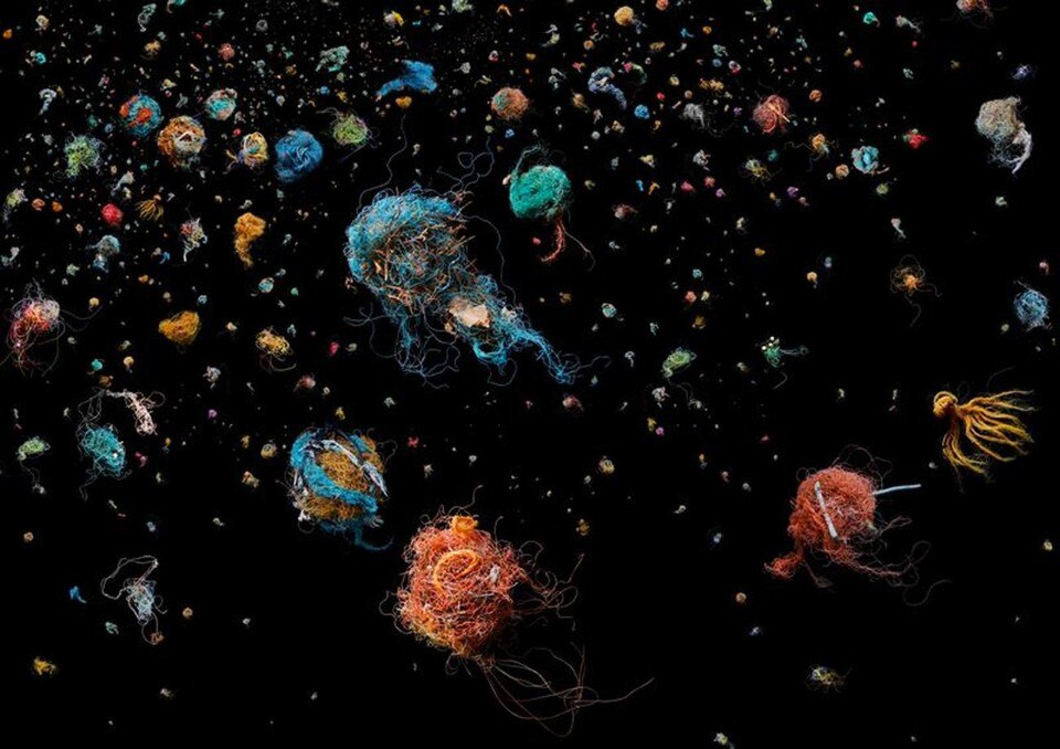 The plastic in the seas by photographer Mandy Barker looks alien and beautiful