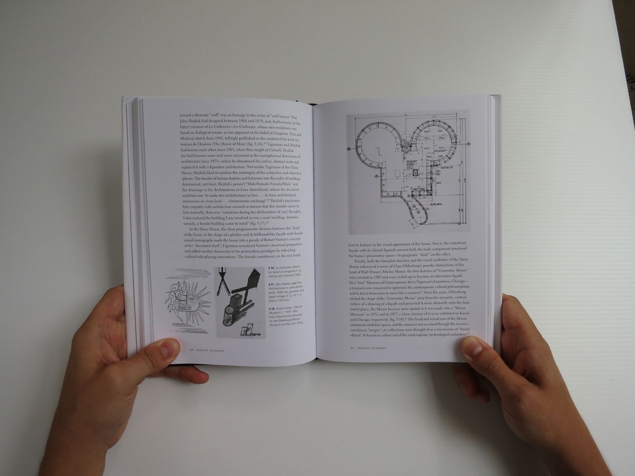 Emmanuel Petit, Irony; or, The Self-Critical Opacity of Postmodern Architecture, Yale Press 2013 Emmanuel Petit, Irony; or, The Self-Critical Opacity of Postmodern Architecture, Yale Press 2013