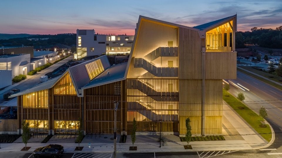 The best timber buildings of 2025