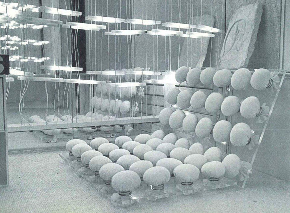 Una casa nella metropoli: Paul Rudolph tra megastrutture e stravaganze domestiche